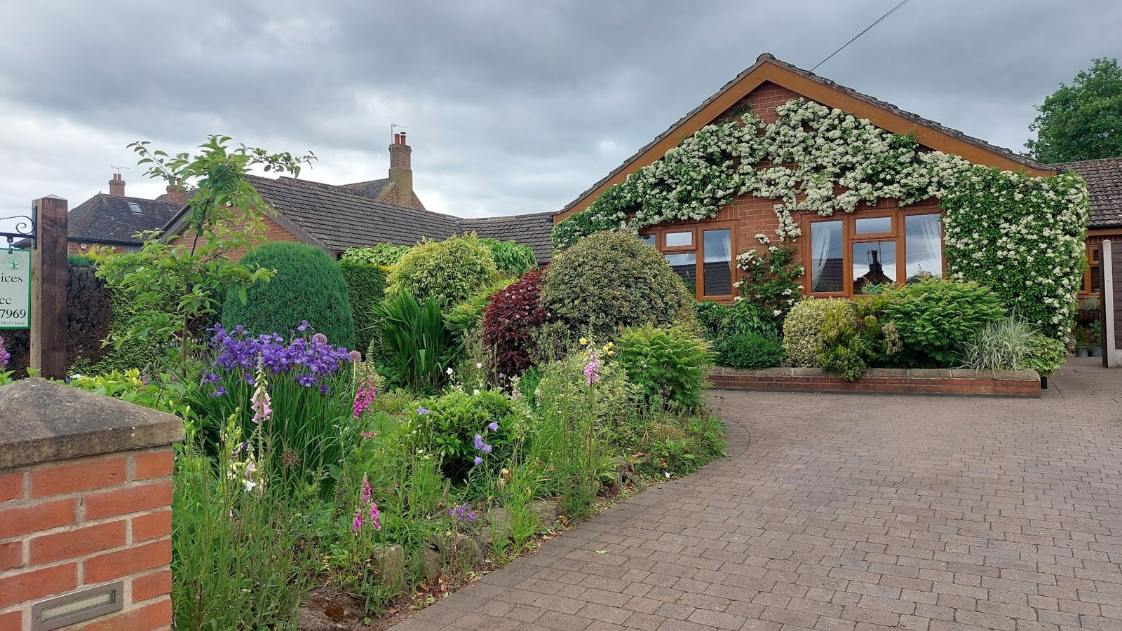 Front garden with irises, foxgloves and clipped shrubs along a block-paved drive, climber over the house wall