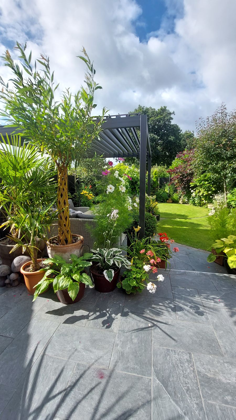 Slate patio with potted palms, hostas and flowering pots under a pergola, lawn beyond
